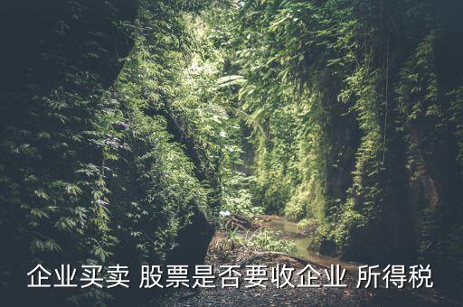 企業(yè)買(mǎi)賣(mài) 股票是否要收企業(yè) 所得稅