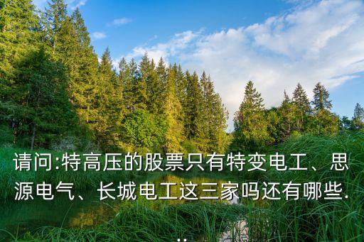 請問:特高壓的股票只有特變電工、思源電氣、長城電工這三家嗎還有哪些...