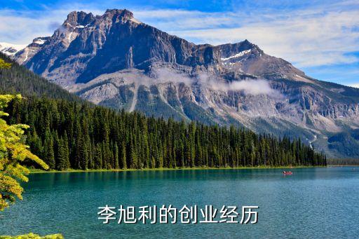 李旭利的創(chuàng)業(yè)經歷