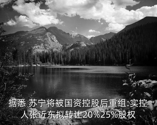 據(jù)悉 蘇寧將被國資控股后重組:實(shí)控人張近東擬轉(zhuǎn)讓20%25%股權(quán)