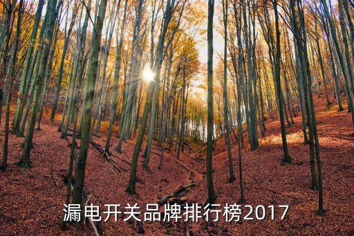 漏電開關品牌排行榜2017