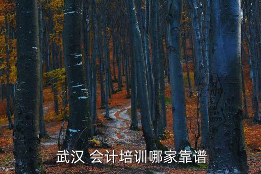  武漢 會計培訓(xùn)哪家靠譜