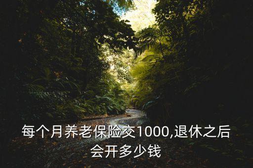 每個(gè)月養(yǎng)老保險(xiǎn)交1000,退休之后會(huì)開(kāi)多少錢(qián)