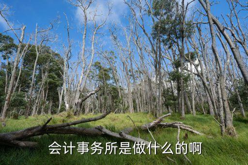  會計事務(wù)所是做什么的啊