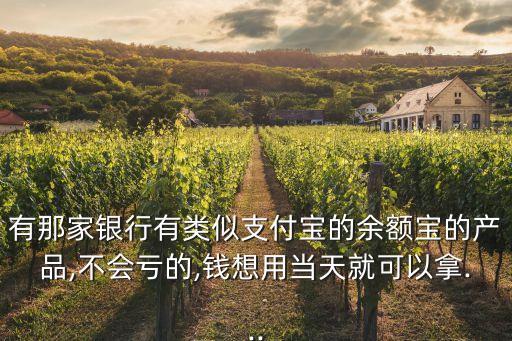 有那家銀行有類(lèi)似支付寶的余額寶的產(chǎn)品,不會(huì)虧的,錢(qián)想用當(dāng)天就可以拿...