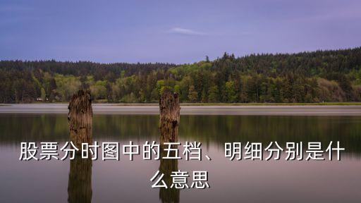  股票分時圖中的五檔、明細(xì)分別是什么意思