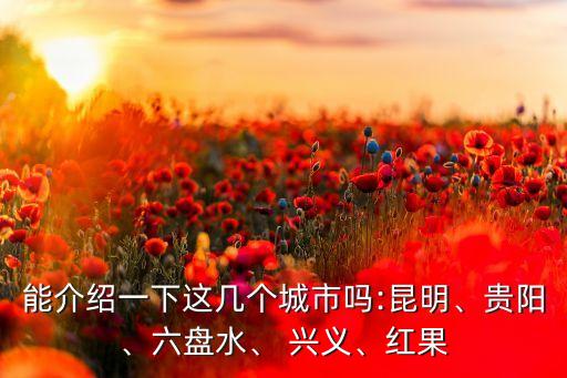 能介紹一下這幾個(gè)城市嗎:昆明、貴陽(yáng)、六盤水、 興義、紅果