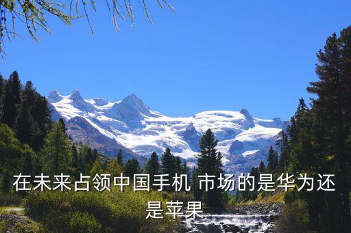 在未來(lái)占領(lǐng)中國(guó)手機(jī) 市場(chǎng)的是華為還是蘋果