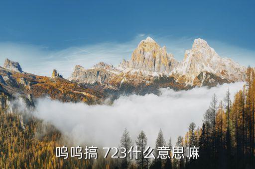 中國動車723內幕