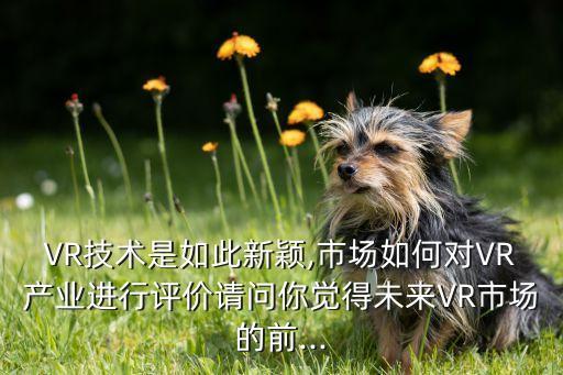 VR技術(shù)是如此新穎,市場(chǎng)如何對(duì)VR產(chǎn)業(yè)進(jìn)行評(píng)價(jià)請(qǐng)問你覺得未來VR市場(chǎng)的前...