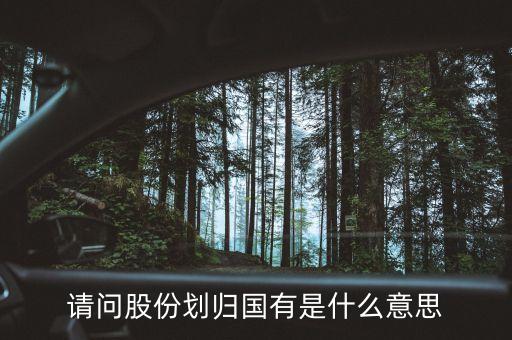 請(qǐng)問股份劃歸國有是什么意思