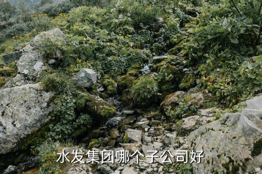 水發(fā)集團哪個子公司好