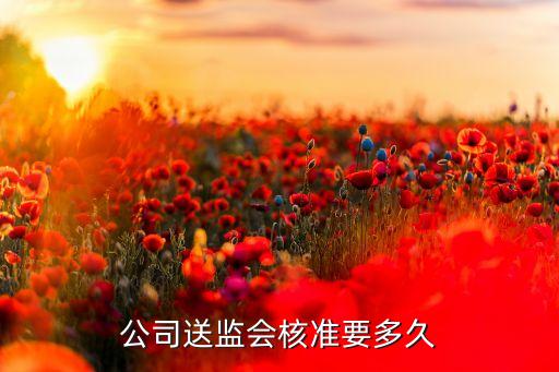 重組公司送監(jiān)會核準(zhǔn)要多久