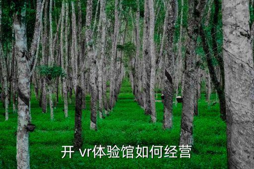 開 vr體驗(yàn)館如何經(jīng)營(yíng)