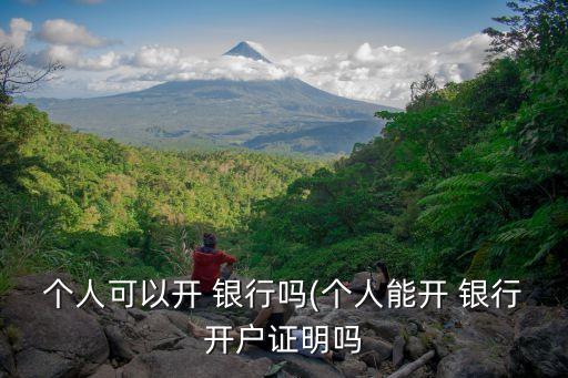 個(gè)人可以開(kāi) 銀行嗎(個(gè)人能開(kāi) 銀行開(kāi)戶證明嗎