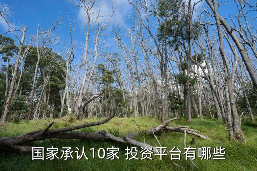 國(guó)家承認(rèn)10家 投資平臺(tái)有哪些