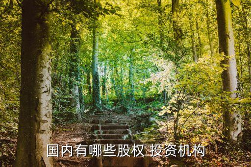 國(guó)內(nèi)有哪些股權(quán) 投資機(jī)構(gòu)