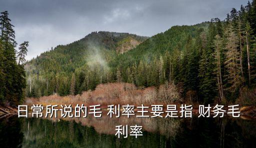 日常所說的毛 利率主要是指 財務(wù)毛 利率