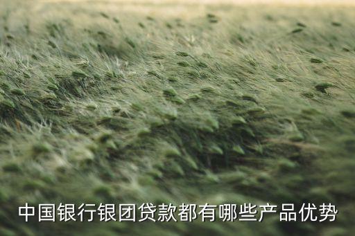 中國銀行銀團貸款都有哪些產(chǎn)品優(yōu)勢