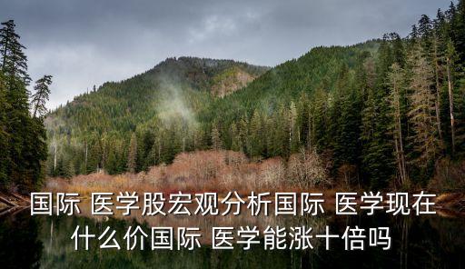 國際 醫(yī)學(xué)股宏觀分析國際 醫(yī)學(xué)現(xiàn)在什么價(jià)國際 醫(yī)學(xué)能漲十倍嗎