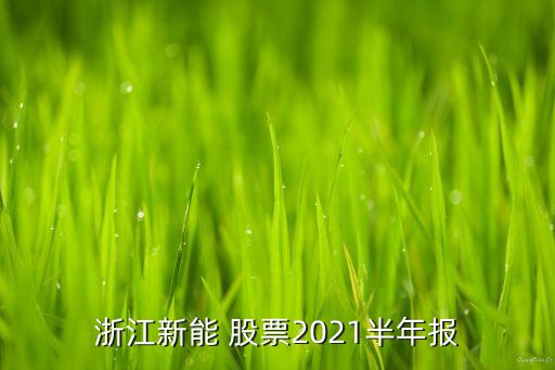 可再生能源相關股票,布魯克菲爾德可再生能源股票
