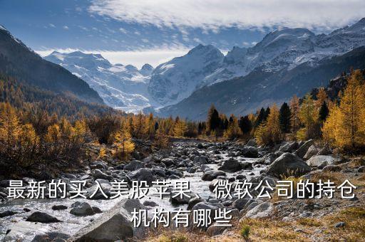 最新的買入美股蘋果、微軟公司的持倉機(jī)構(gòu)有哪些