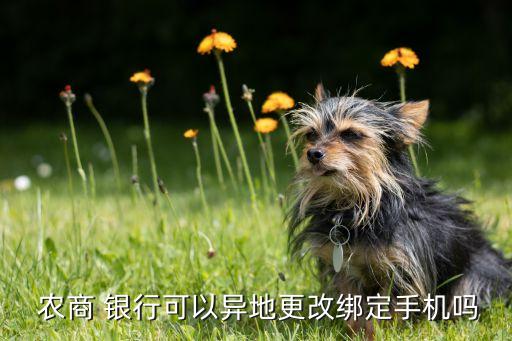 ?？谵r(nóng)商銀行網(wǎng)上銀行,中國(guó)農(nóng)商手機(jī)銀行網(wǎng)上銀行下載