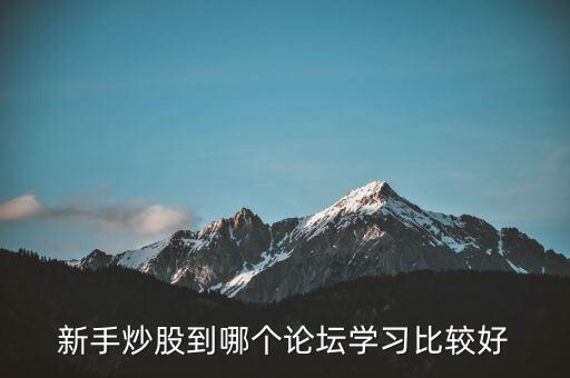 新手炒股到哪個論壇學(xué)習比較好