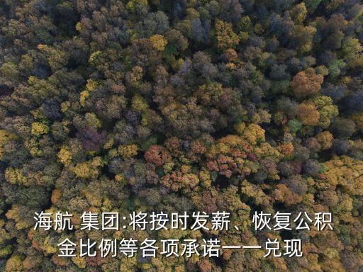  海航 集團(tuán):將按時發(fā)薪、恢復(fù)公積金比例等各項承諾一一兌現(xiàn)