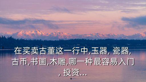 在買賣古董這一行中,玉器, 瓷器,古幣,書(shū)畫(huà),木雕,哪一種最容易入門, 投資...