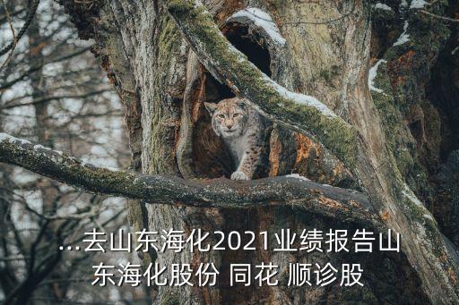 ...去山東?；?021業(yè)績(jī)報(bào)告山東?；煞?同花 順診股