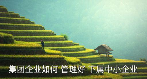 經(jīng)營公司該如何管理下屬公司,自己經(jīng)營公司財務如何管理