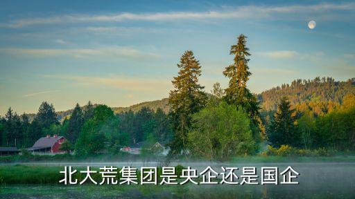 北大荒農業(yè)股份有限公司江濱分公司,黑龍江北大荒農業(yè)股份有限公司