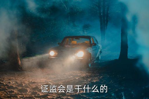 中國證監(jiān)會領(lǐng)導分工