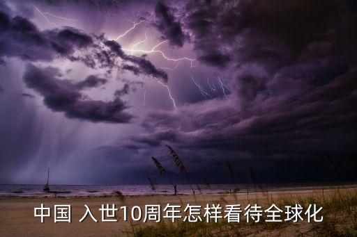 中國(guó) 入世10周年怎樣看待全球化