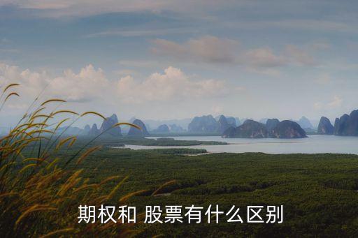 限制性股票與股票期權的區(qū)別,股票期權與限制性股票激勵計劃是好還是壞