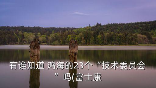 鴻海集團(tuán)股東,鴻?？萍技瘓F(tuán)股東