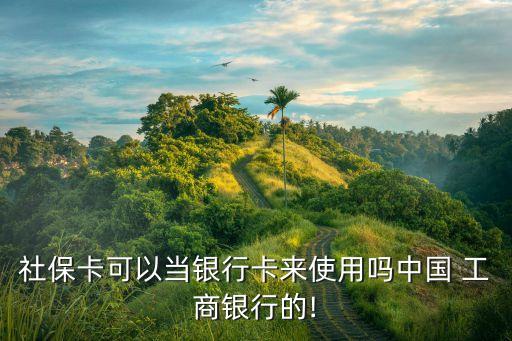 社?？梢援?dāng)銀行卡來使用嗎中國 工商銀行的!