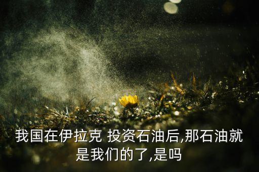 我國(guó)在伊拉克 投資石油后,那石油就是我們的了,是嗎