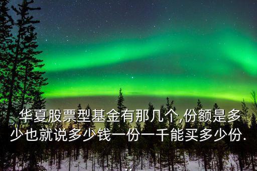  華夏股票型基金有那幾個(gè),份額是多少也就說(shuō)多少錢(qián)一份一千能買(mǎi)多少份...