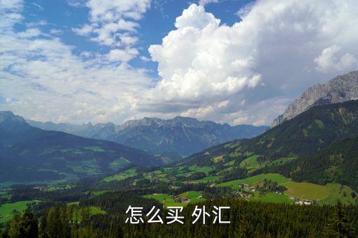 個(gè)人如何投資外匯,個(gè)人投資外匯保證金交易