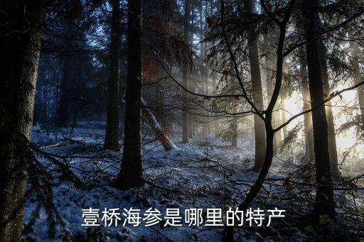  壹橋海參是哪里的特產