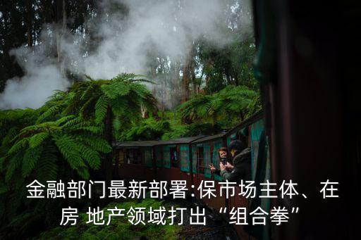  金融部門最新部署:保市場主體、在房 地產(chǎn)領域打出“組合拳”