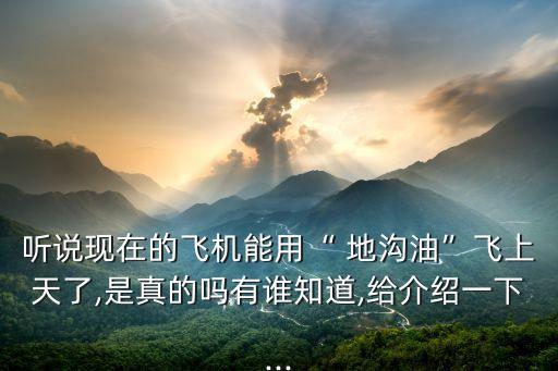 聽說現(xiàn)在的飛機(jī)能用“ 地溝油”飛上天了,是真的嗎有誰知道,給介紹一下...
