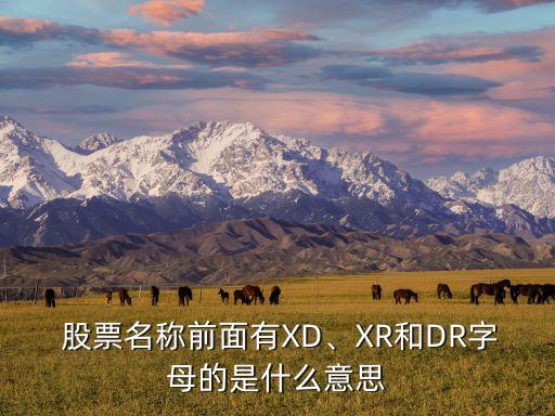  股票名稱(chēng)前面有XD、XR和DR字母的是什么意思