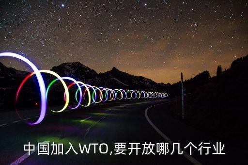 加入世貿之前中國零售業(yè)數(shù)據