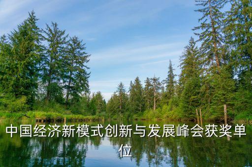 中國(guó)經(jīng)濟(jì)新模式創(chuàng)新與發(fā)展峰會(huì)獲獎(jiǎng)單位