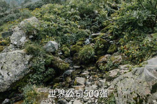 世界公司500強