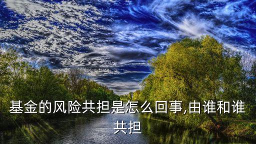 基金的風(fēng)險共擔(dān)是怎么回事,由誰和誰共擔(dān)