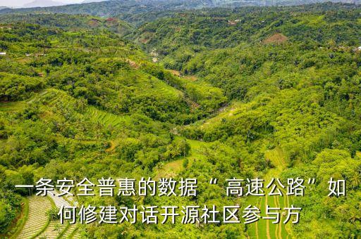 一條安全普惠的數據“ 高速公路”如何修建對話開源社區(qū)參與方